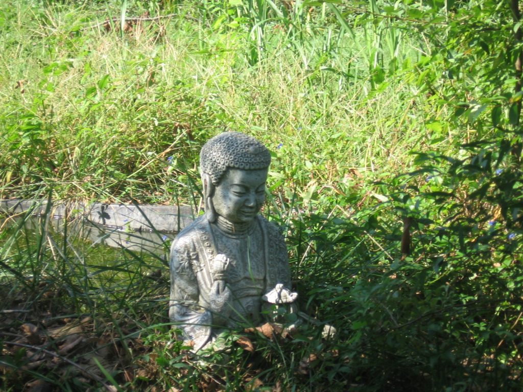 buddha