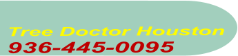 Tree Doctor Houston  936-445-0095