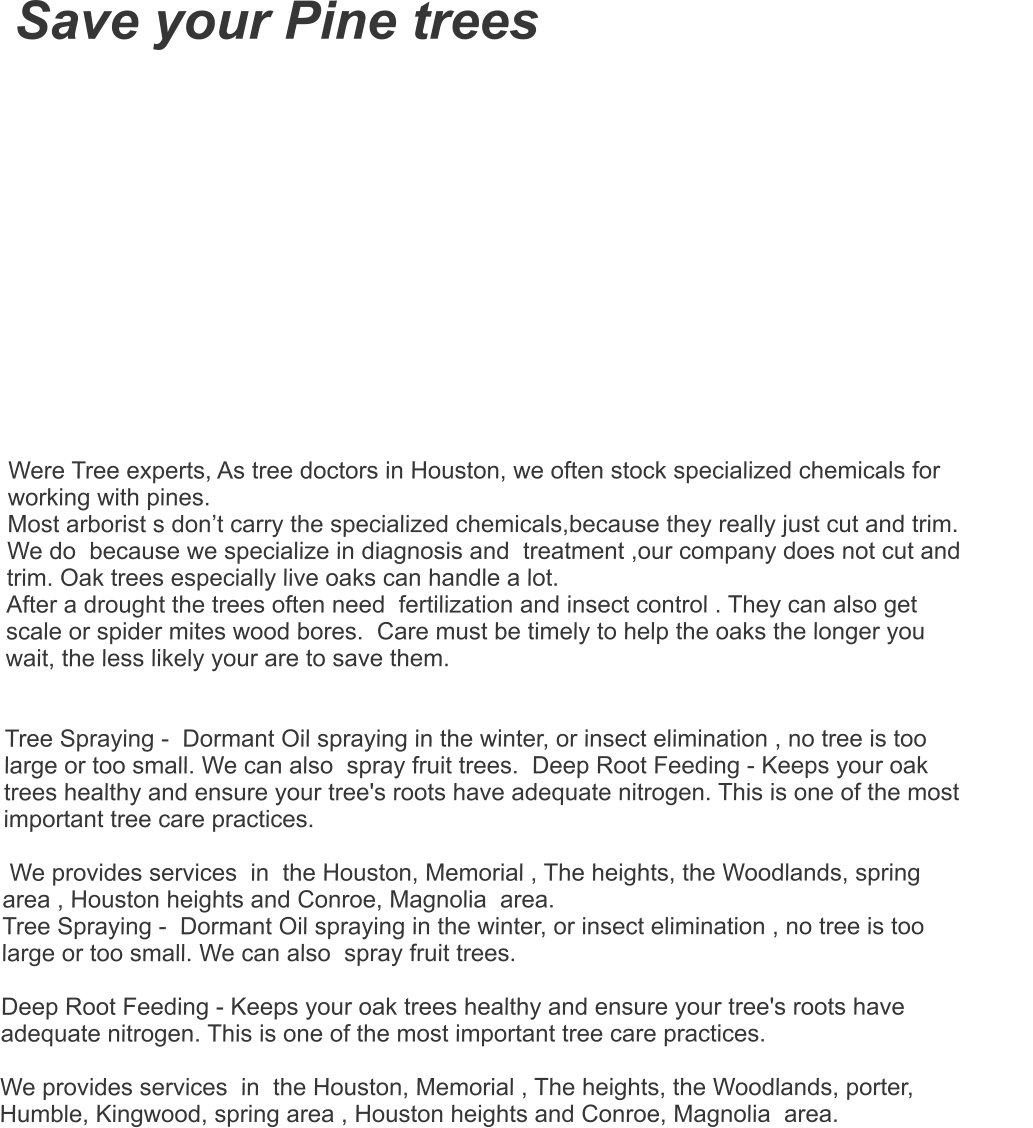 Save your Pine trees    Were Tree experts, As tree doctors in Houston, we often stock specialized chemicals for  working with pines.   Most arborist s don’t carry the specialized chemicals,because they really just cut and trim. We do  because we specialize in diagnosis and  treatment ,our company does not cut and trim. Oak trees especially live oaks can handle a lot.  After a drought the trees often need  fertilization and insect control . They can also get scale or spider mites wood bores.  Care must be timely to help the oaks the longer you wait, the less likely your are to save them.     Tree Spraying -  Dormant Oil spraying in the winter, or insect elimination , no tree is too large or too small. We can also  spray fruit trees.  Deep Root Feeding - Keeps your oak trees healthy and ensure your tree's roots have adequate nitrogen. This is one of the most important tree care practices.   We provides services  in  the Houston, Memorial , The heights, the Woodlands, spring area , Houston heights and Conroe, Magnolia  area. Tree Spraying -  Dormant Oil spraying in the winter, or insect elimination , no tree is too large or too small. We can also  spray fruit trees.    Deep Root Feeding - Keeps your oak trees healthy and ensure your tree's roots have adequate nitrogen. This is one of the most important tree care practices.   We provides services  in  the Houston, Memorial , The heights, the Woodlands, porter, Humble, Kingwood, spring area , Houston heights and Conroe, Magnolia  area.