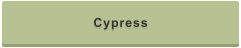 Cypress